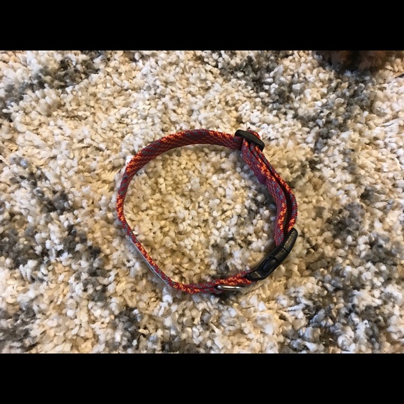 Small Dog Collar - Picture 4 of 4